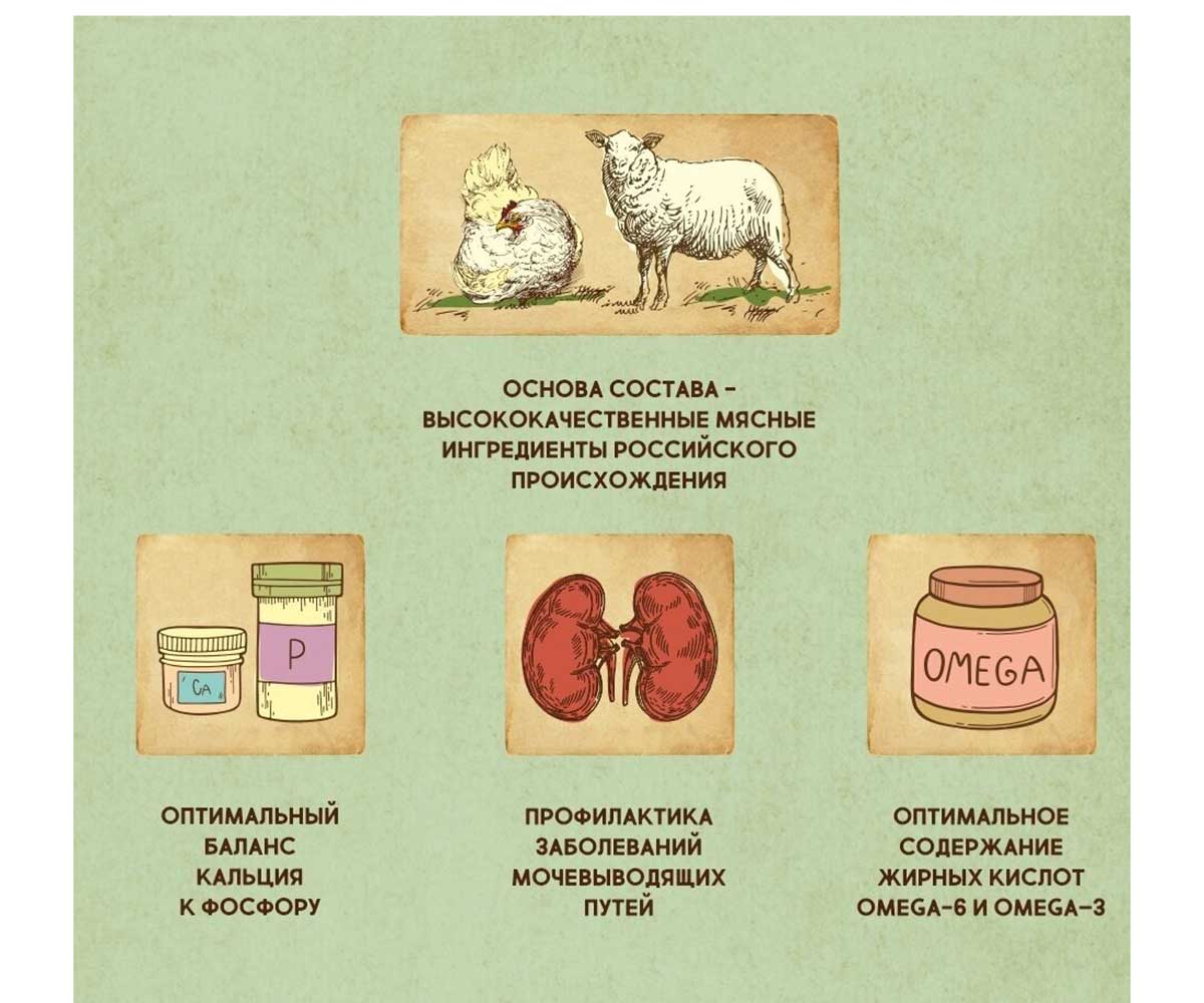 Влажный Корм Dezzie (Деззи) Для Стерилизованных Кошек Ягненок в Желе Sterilized Cat Lamb 85г 5657074 (1*12)