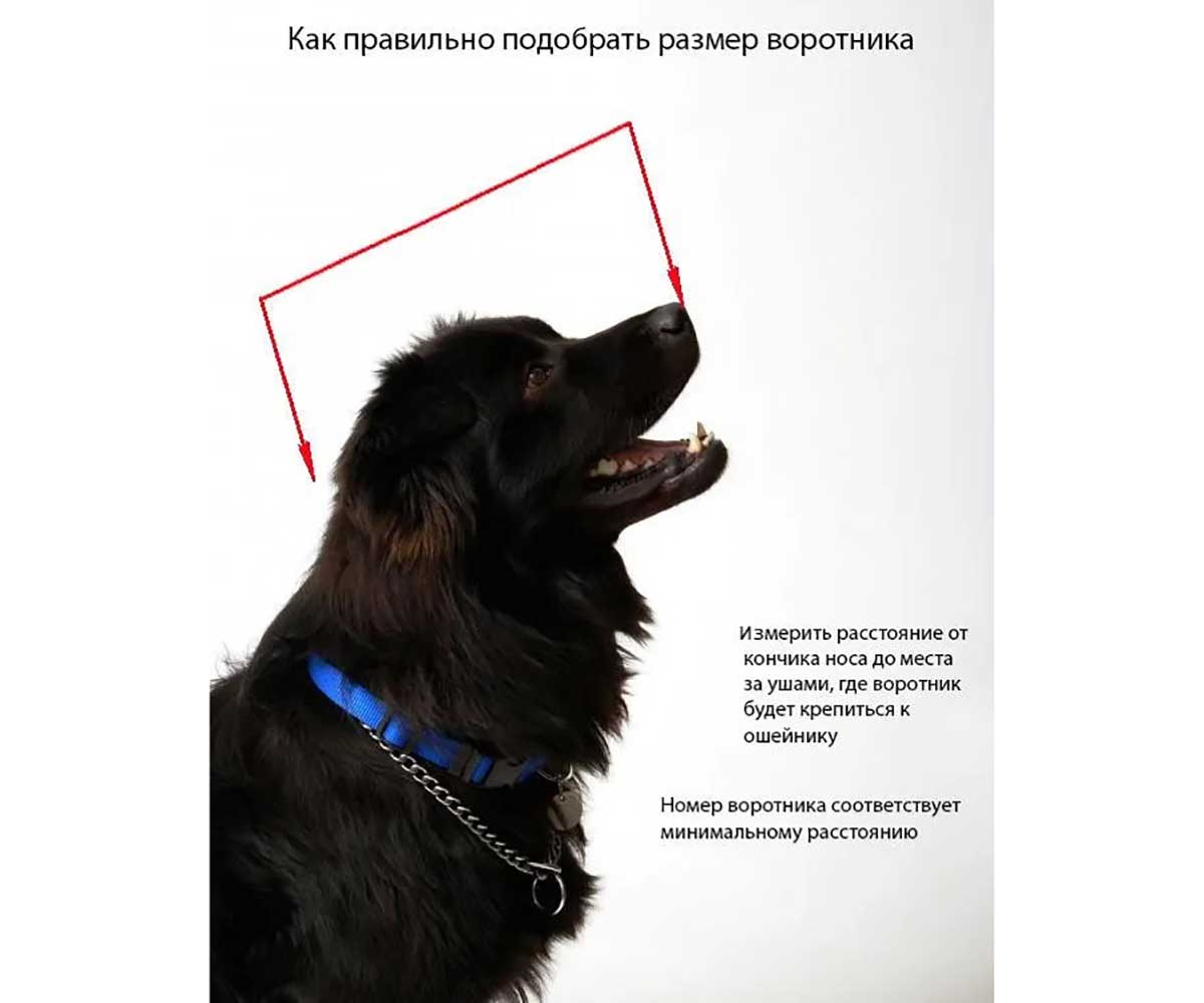 Воротник Vetзабота №30 Защитный На Липучке