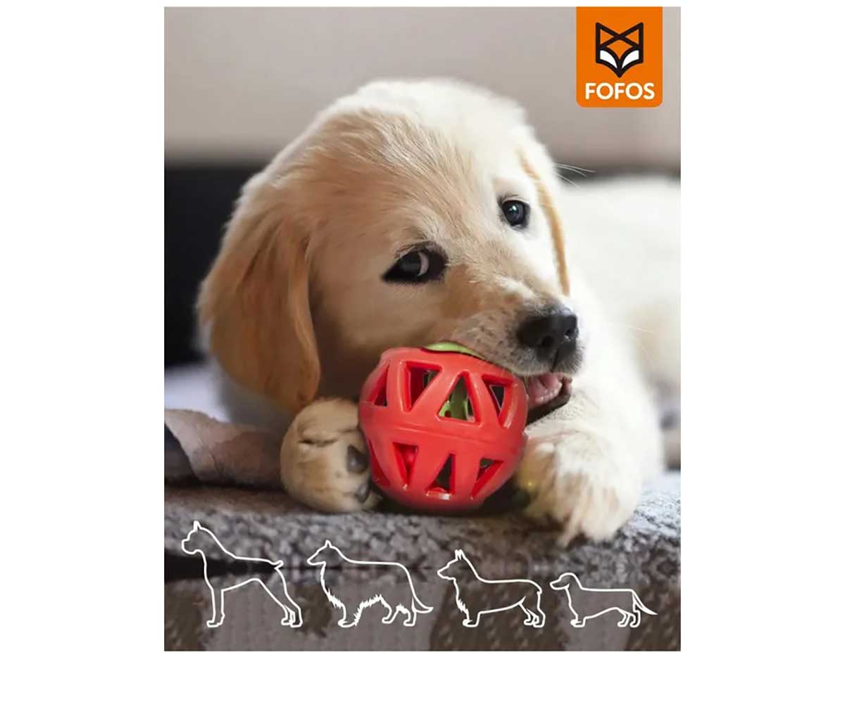 Игрушка Fofos (Фофос) Диспенсер Для Корма Клубника 11,3*9*7см D08587