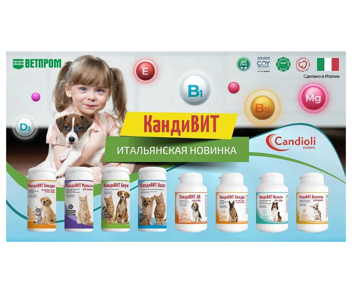 Кандивит Мульти Кормовая Добавка Для Собак Для Обогащения Рациона и Нормализации Обмена Веществ 50-Таблеток
