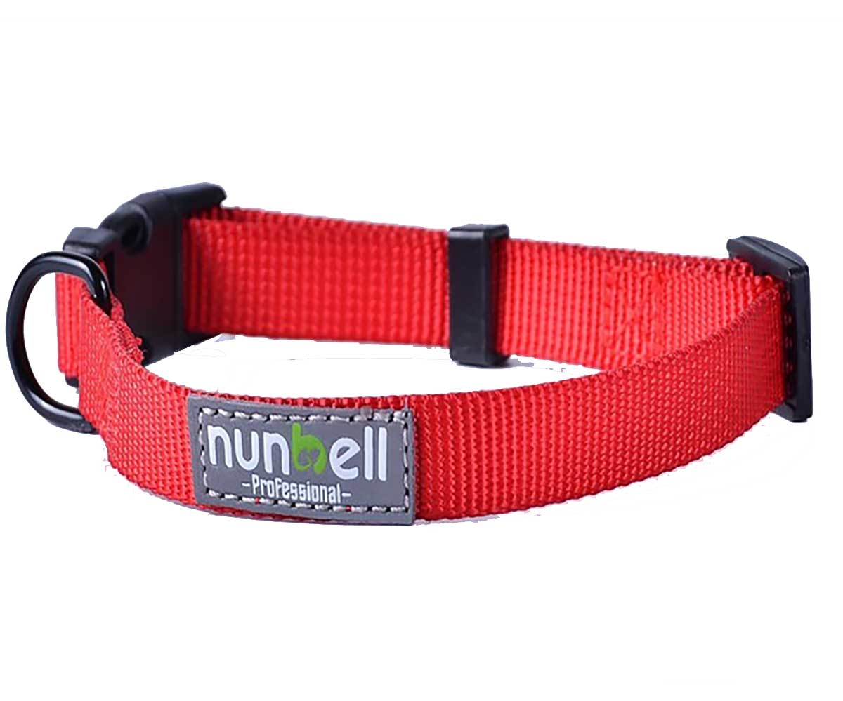 Ошейник Nunbell (Нанбелл) Для Собак S-Pl 36*1,5см 30919-0144