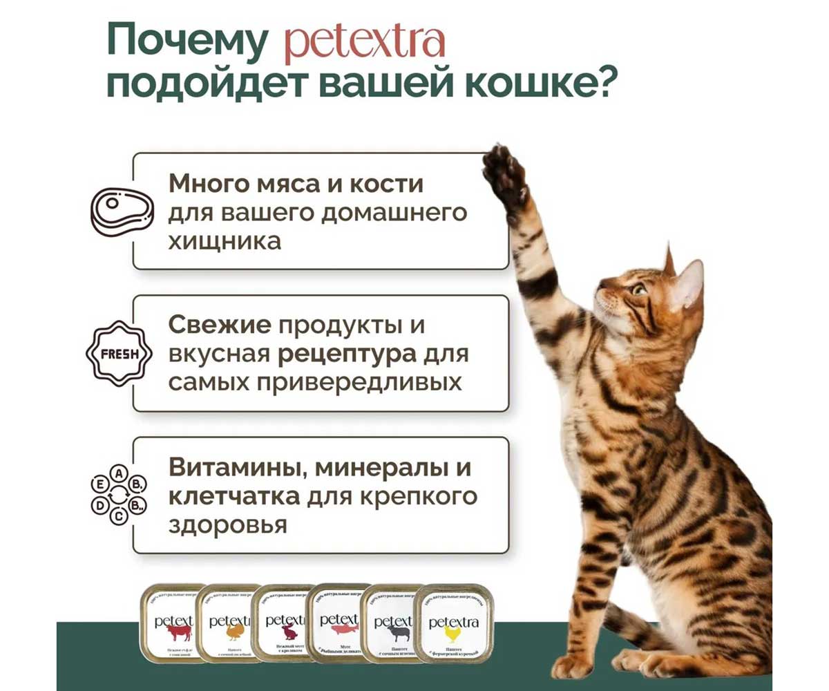 Влажный Корм Petextra (Петэкстра) Для Кошек Рыбный Деликатес Мусс 100г (1*16)
