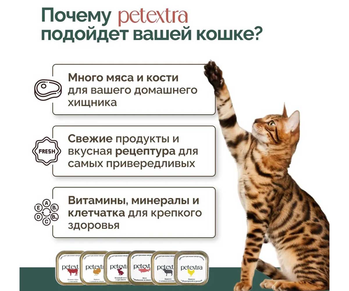 Влажный Корм Petextra (Петэкстра) Для Кошек Индейка Сочная Паштет 100г (1*16)