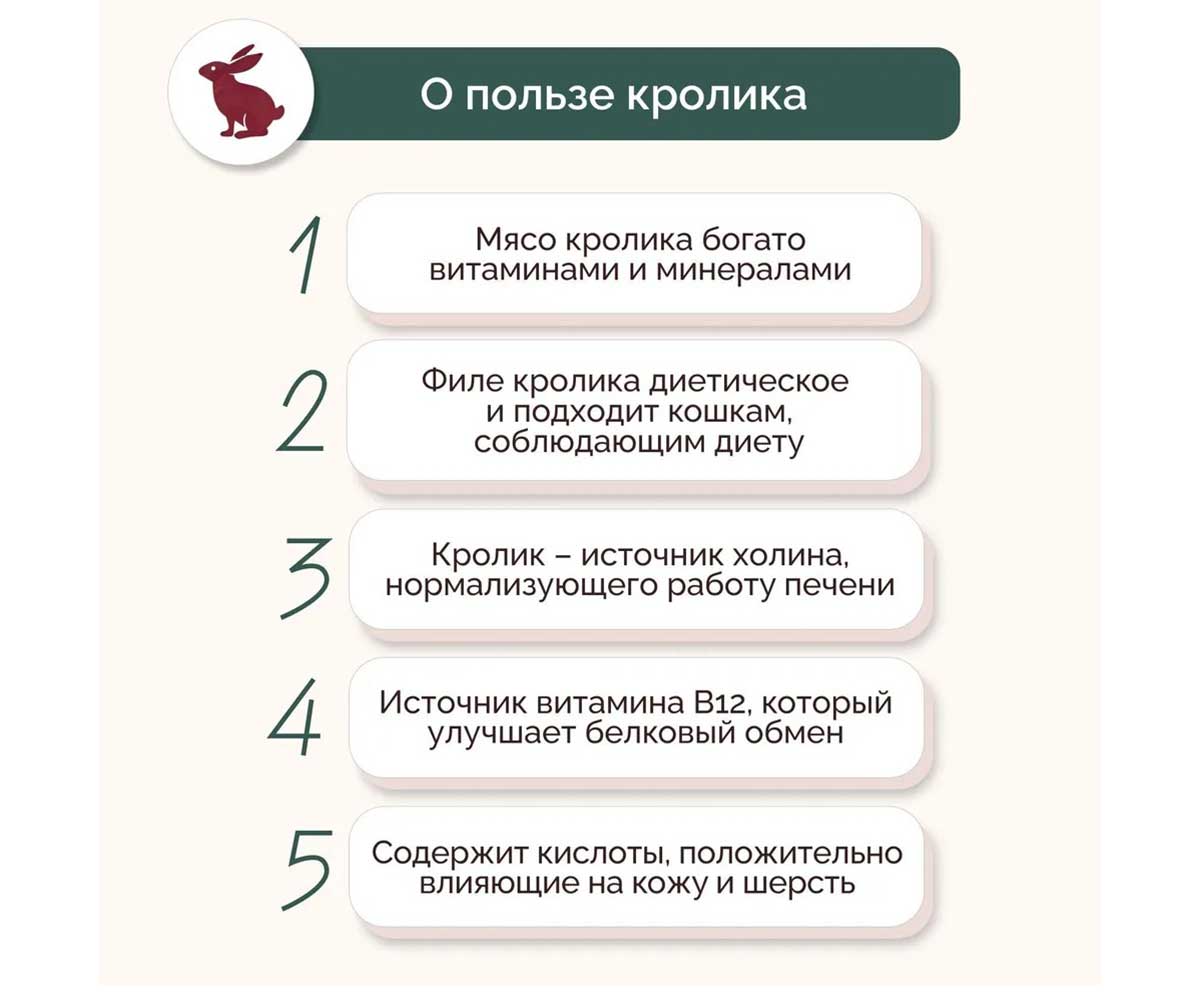 Влажный Корм Petextra (Петэкстра) Для Кошек Кролик Нежный Мусс 100г (1*16)