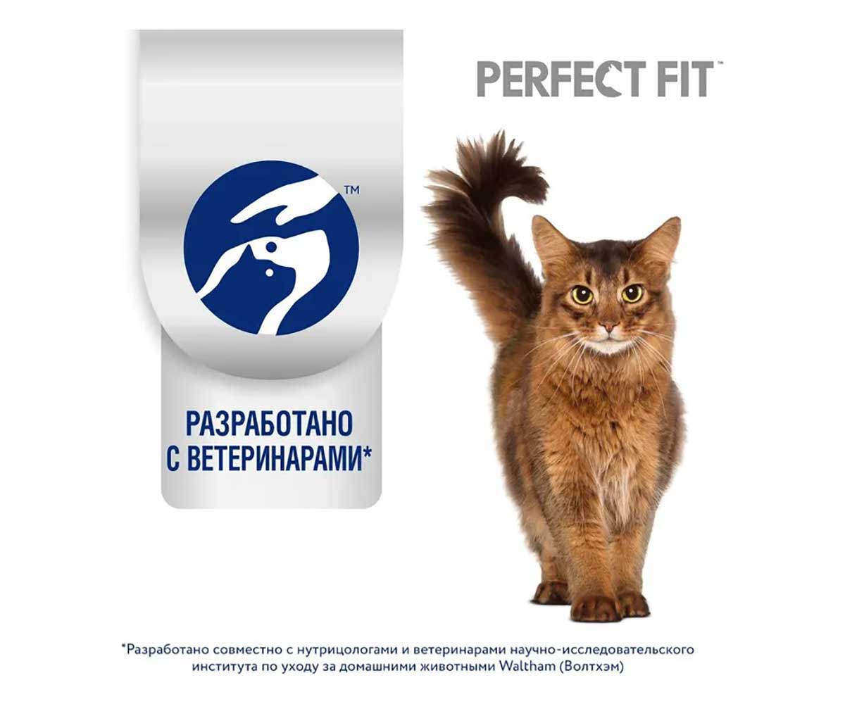 Сухой Корм Perfect Fit (Перфект Фит) Для Котят Курица 1,2кг (1*6)