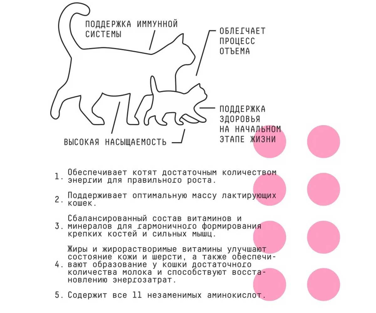 Сухой Корм Ajo (Аджо) Для Котят Индейка 400г (1*24)