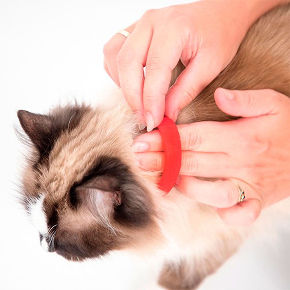 Beaphar (Беафар) Flea & Tick Collar Ошейник От Блох и Клещей Для Кошек Красный 35см