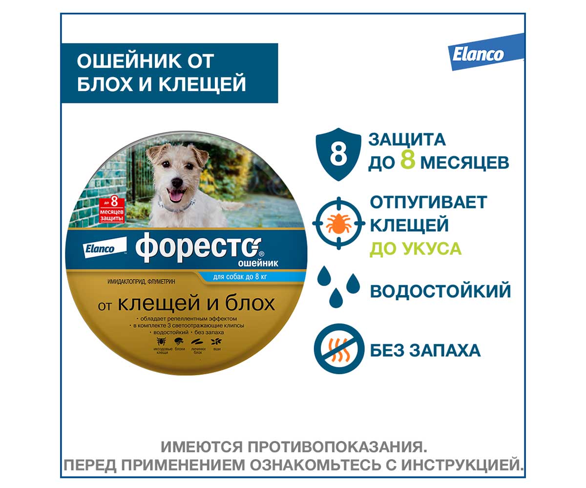 Форесто Ошейник  От Клещей Блох Для Собак До 8кг Защита 8 Мес 38см Foresto S/M Elanco (Эланко)