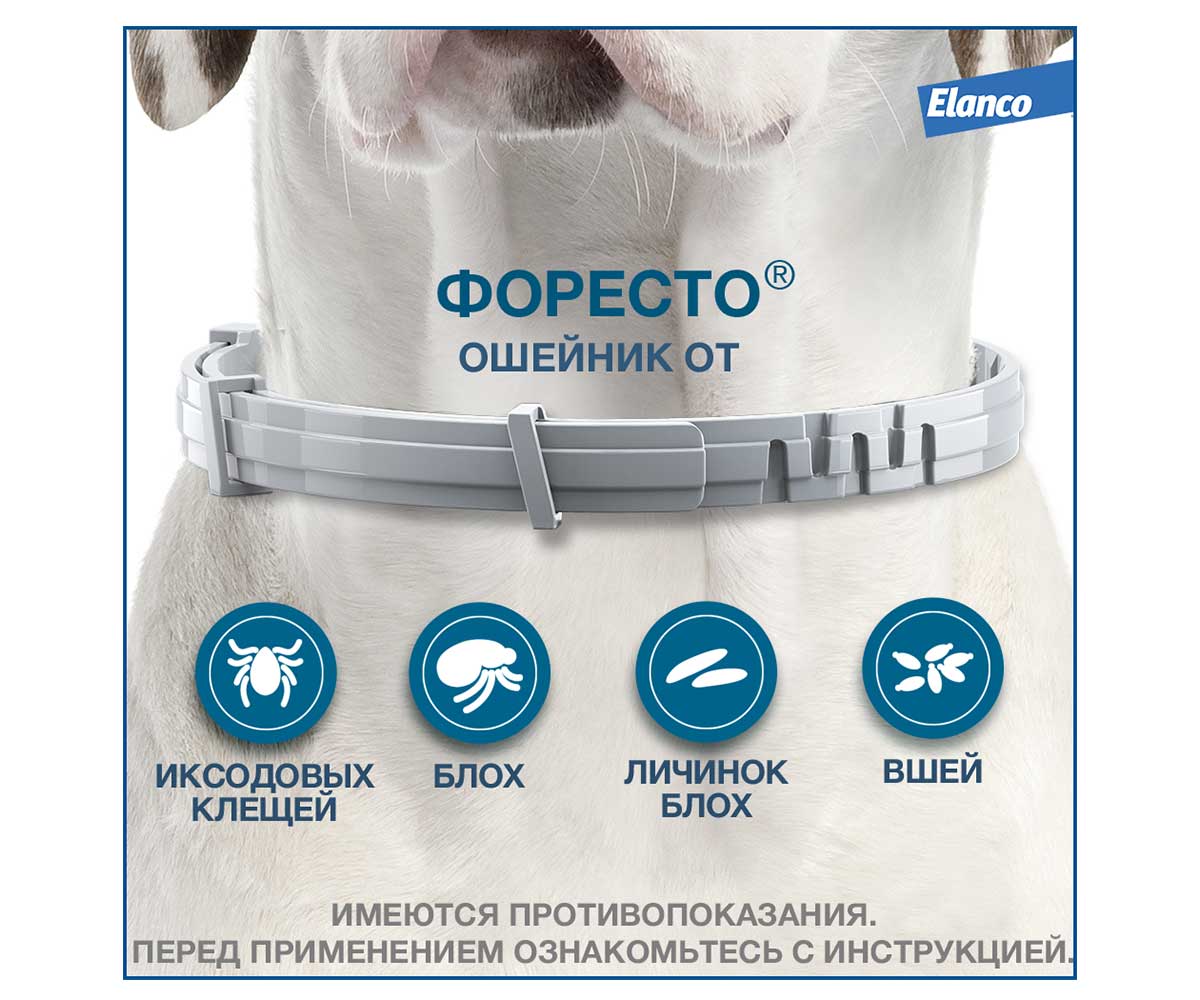 Форесто Ошейник  От Клещей Блох Для Собак До 8кг Защита 8 Мес 38см Foresto S/M Elanco (Эланко)