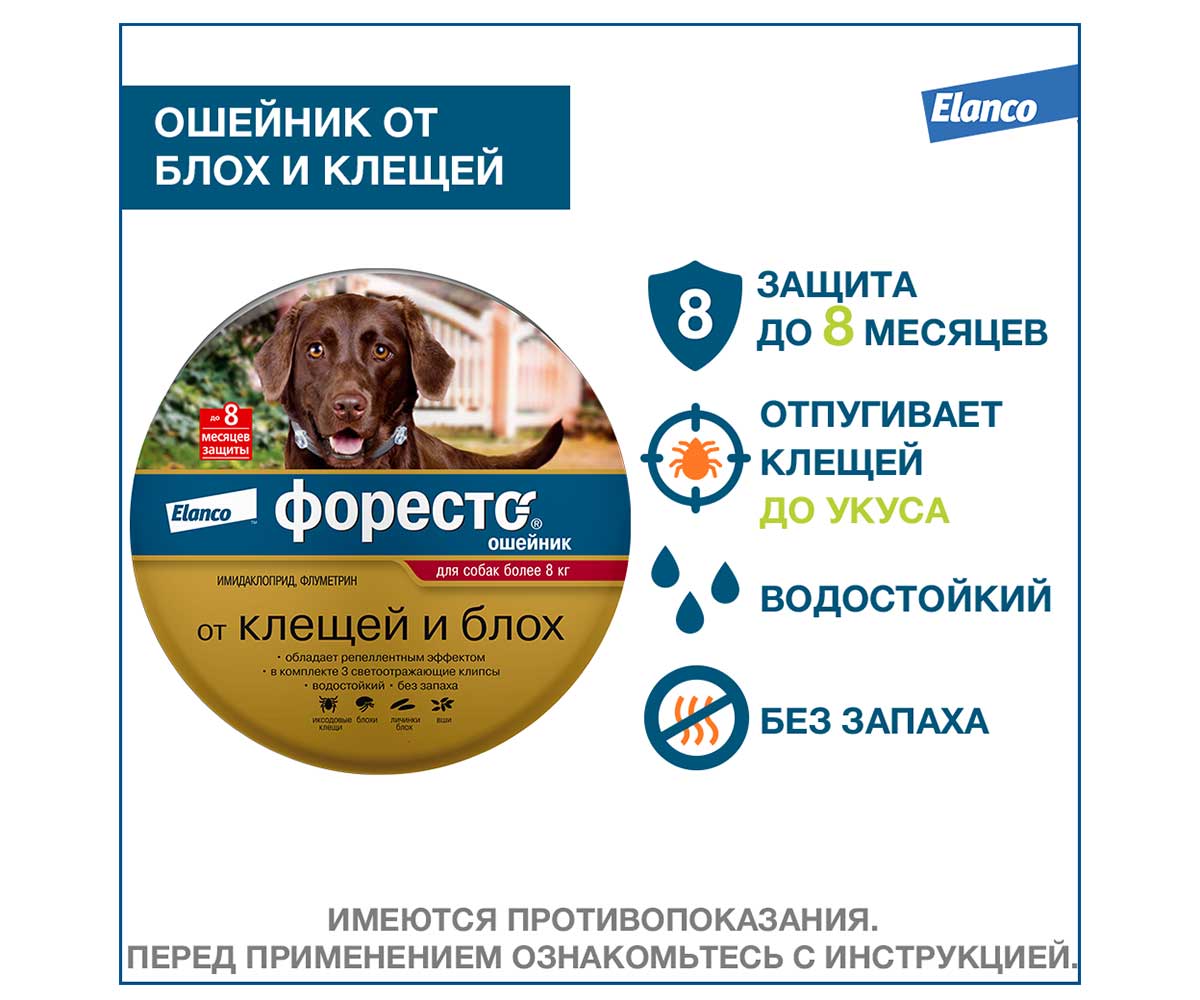 Форесто Ошейник От Клещей и Блох Для Собак От 8кг Защита 8 Мес 70см Foresto L Elanco