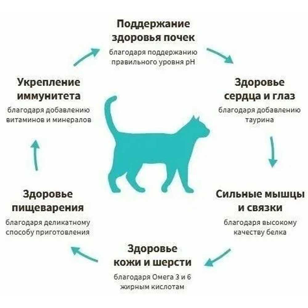Сухой Корм Grandorf (Грэндорф) Cat Probiotic Indoor 4meat Для Домашних Кошек 2кг 4-Мяса 1287