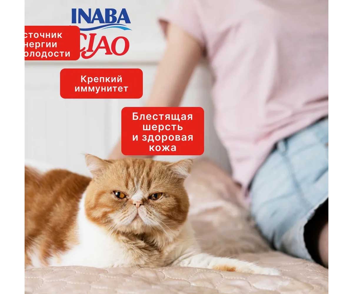 Влажный Корм Inaba (Инаба) Kinnodashi Для Кошек Тунец Магуро, Кацуо и Гребешок в Желе 60г (1*12)