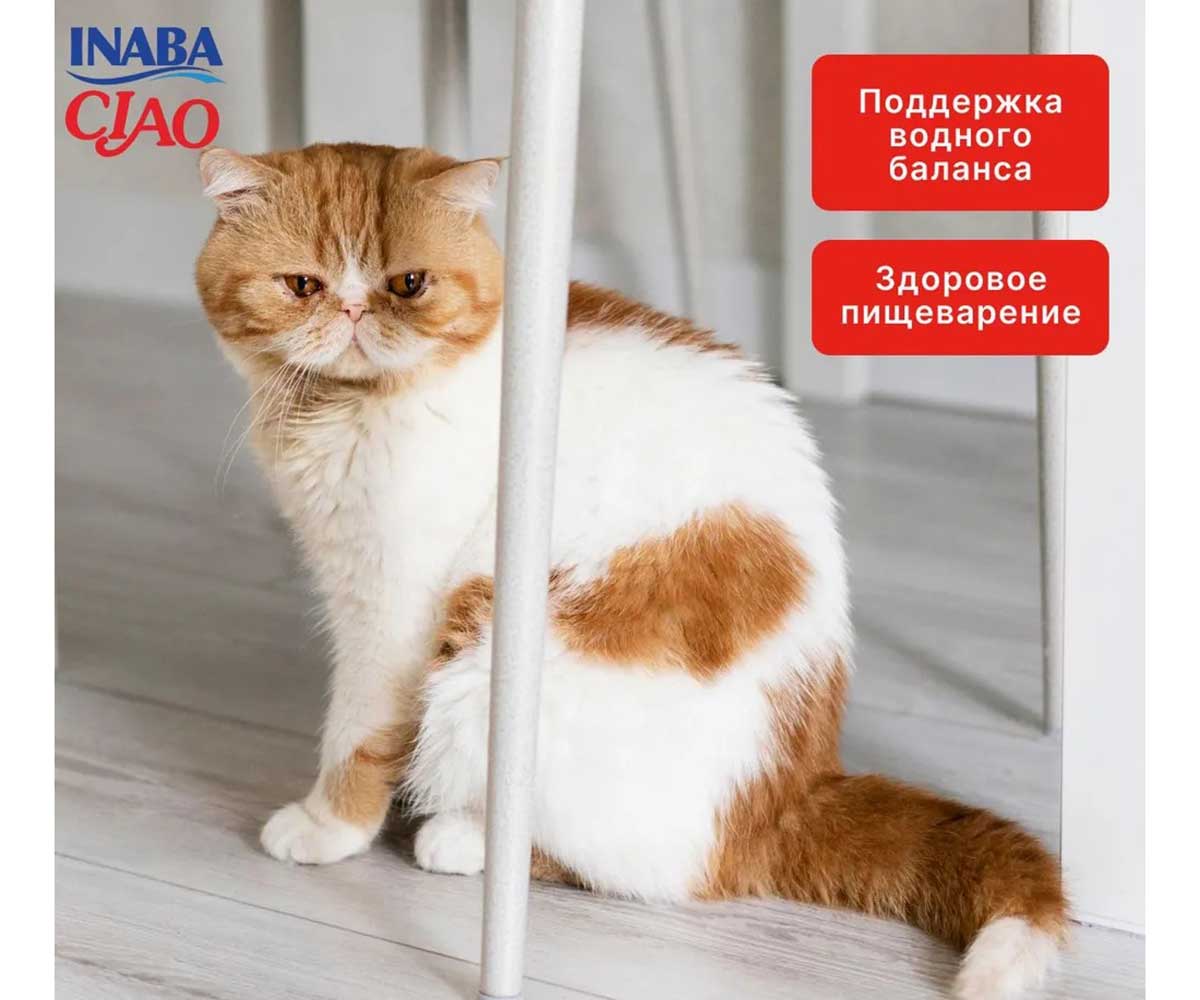 Влажный Корм Inaba (Инаба) Kinnodashi Для Кошек Тунец Магуро, Кацуо и Семга в Желе 60г (1*12)