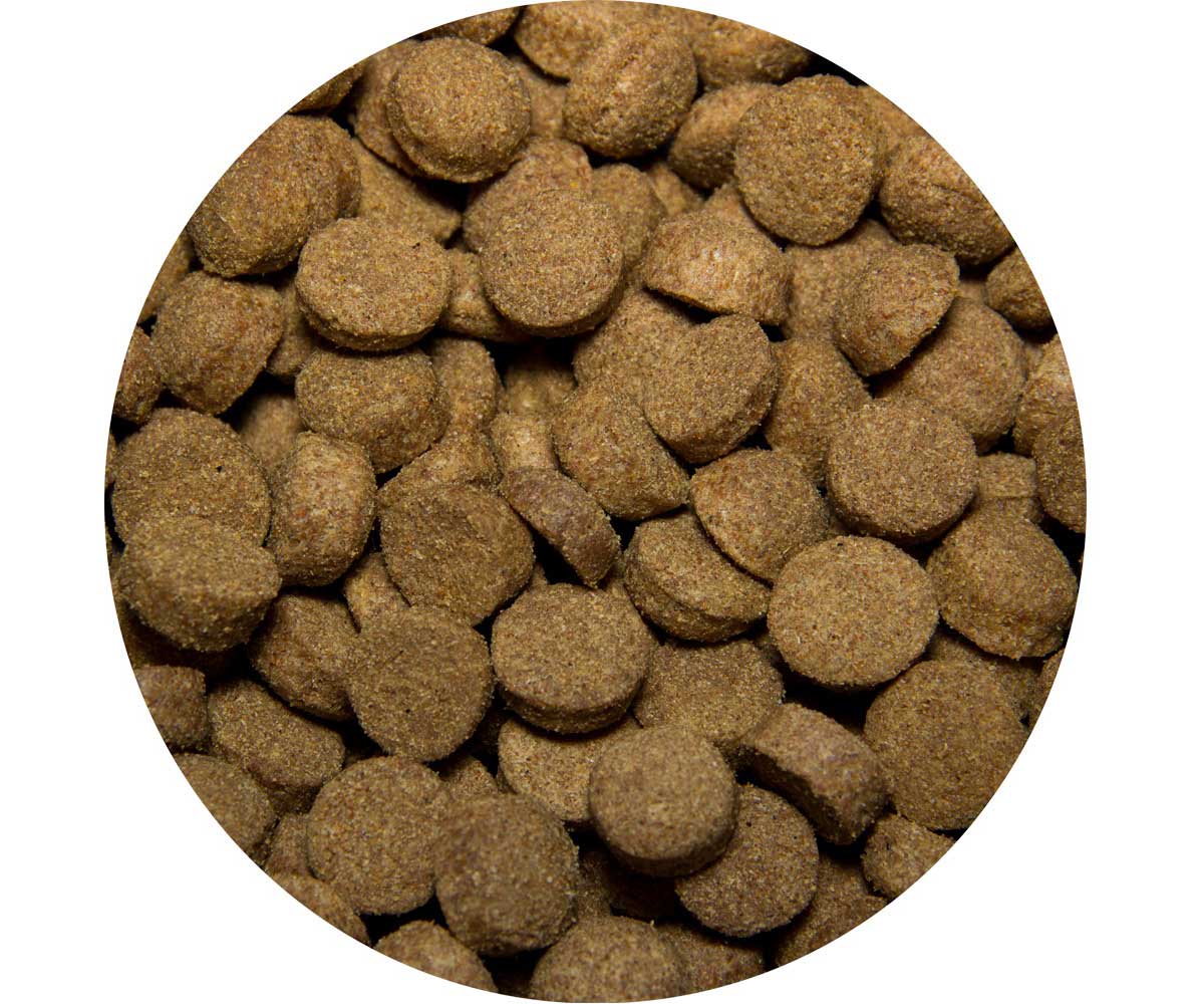 Сухой Корм All Dogs (Олл Догс) Для Собак Говядина и Овощи 2,2кг (1*5)
