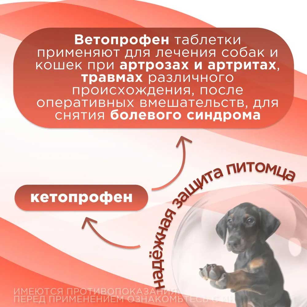 Ветопрофен Противовоспалительный, Анальгетический, Жаропонижающий Препарат Для Средних и Крупных Собак 10т V602