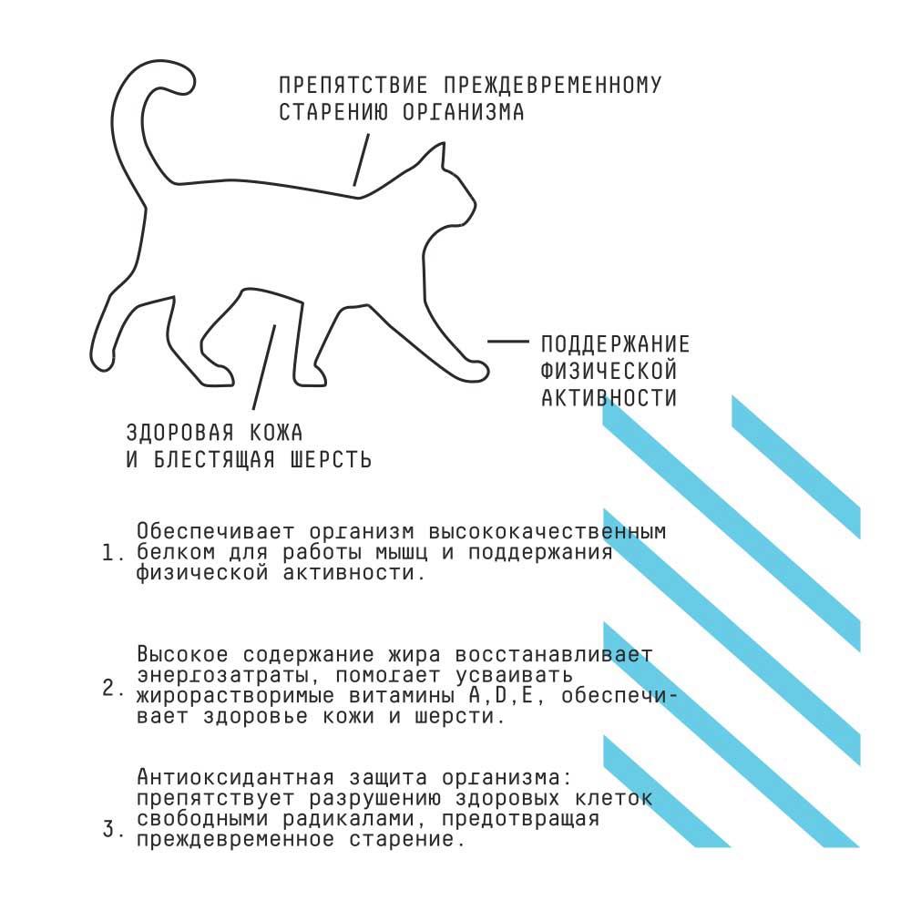 Сухой Корм Ajo (Аджо) Cat Active Для Кошек Индейка 1,5кг (1*6)