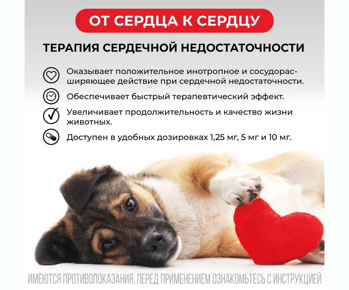 Авекардит 1,25мг Препарат Для Лечения Сердечной Недостаточности Для Мелких Собак 28-Таблеток Коробка