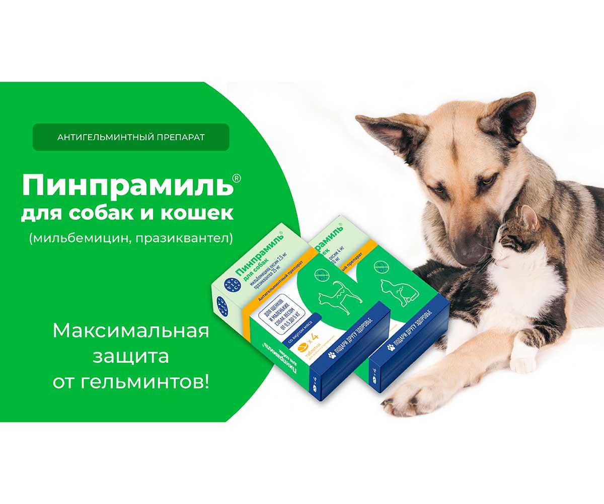 Пинпрамиль 2,5мг/25мг Антигельминтный Препарат Для Щенков и Собак 4-Таблетки Коробка