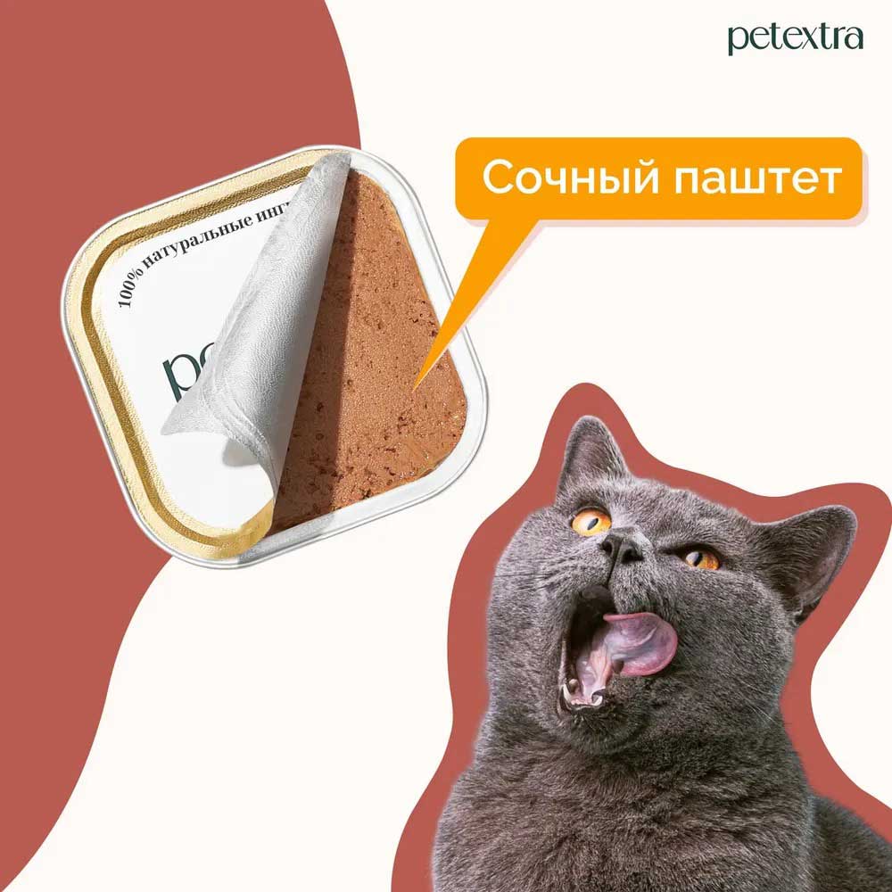 Влажный Корм Petextra (Петэкстра) Для Котят Индейка Нежный Паштет 100г (1*16)