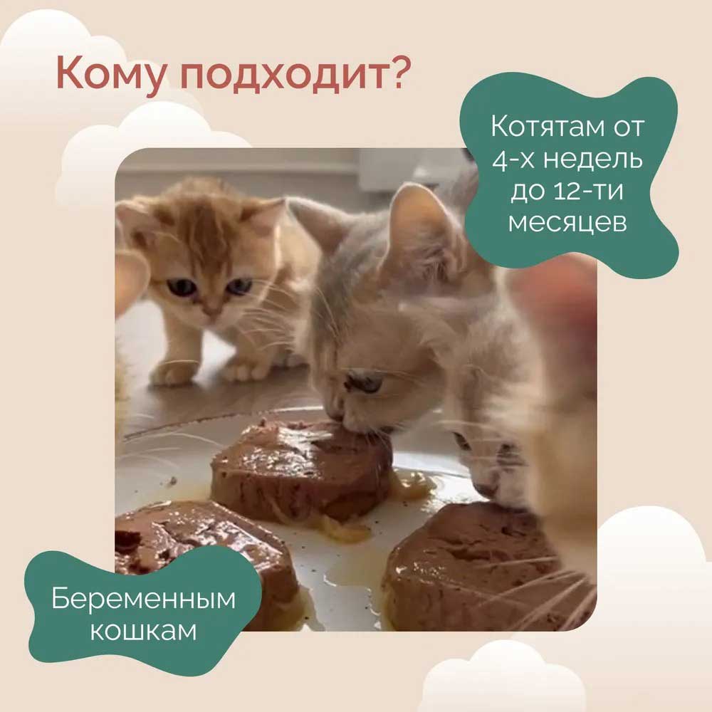 Влажный Корм Petextra (Петэкстра) Для Котят Котлетки Из Курочки 100г (1*16)