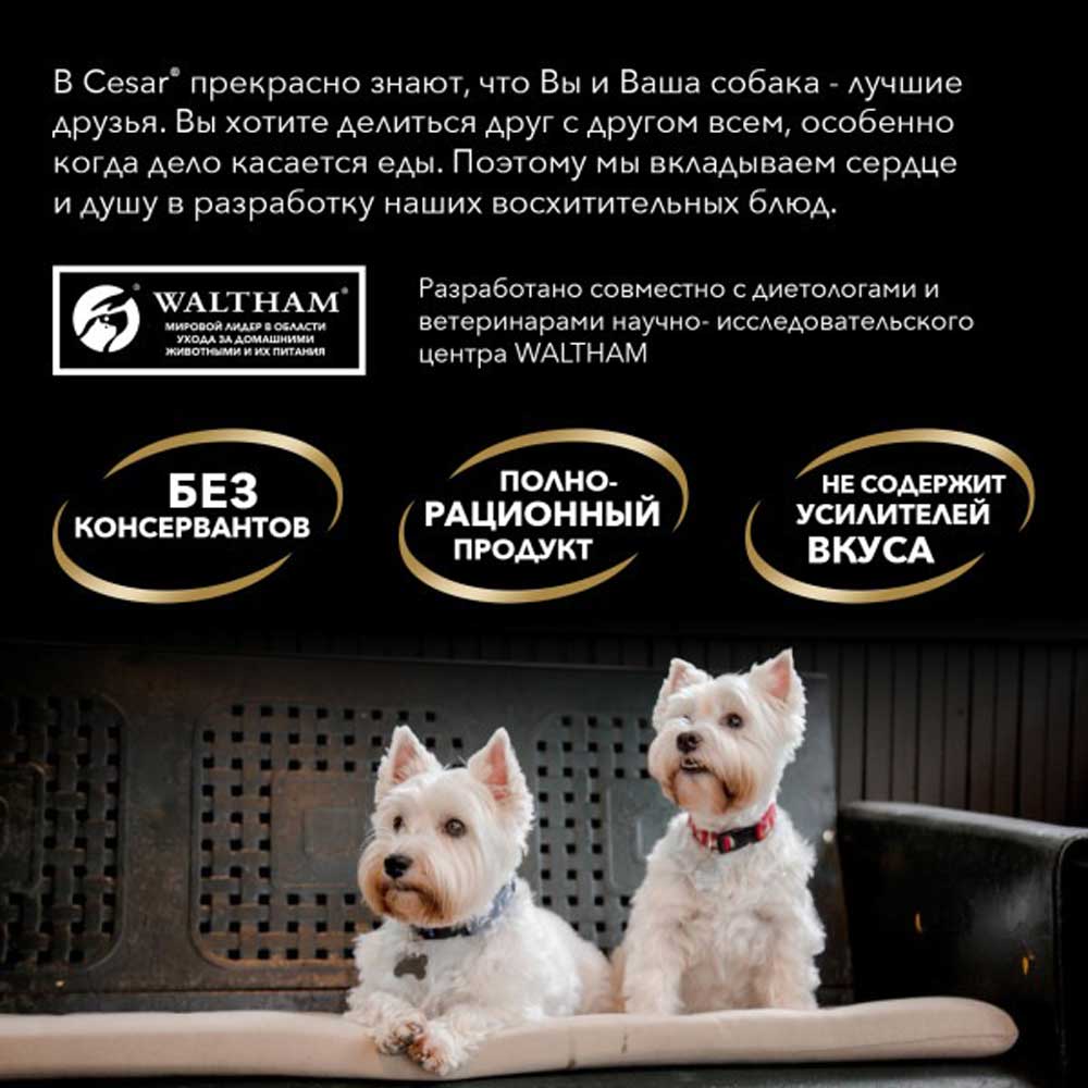 Влажный Корм Cesar (Цезарь) Для Собак Говядина Паштет 80г (1*28)