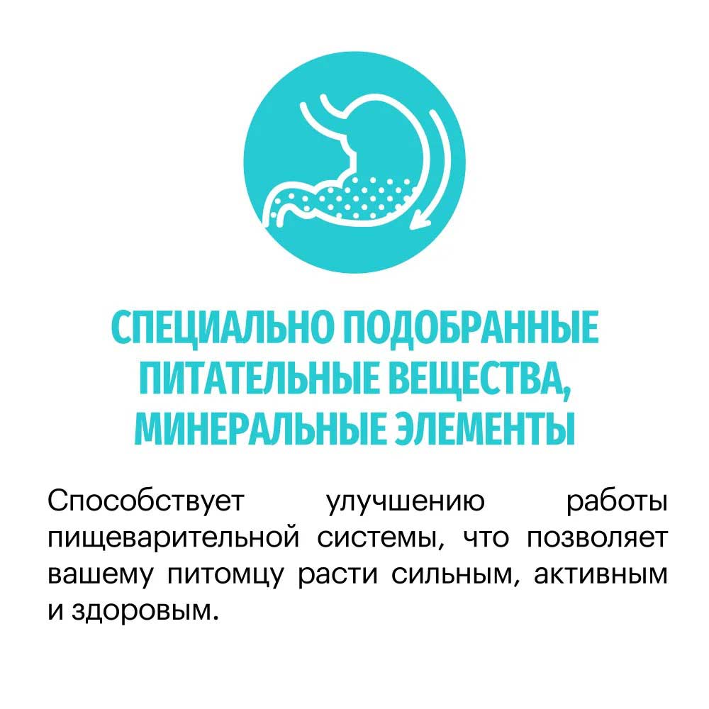Сухой Корм Karmy (Карми) Hypoallergenic Medium/Maxi Для Собак Крупных и Средних Пород Karmy Гипоаллергенный Ягненок 14кг