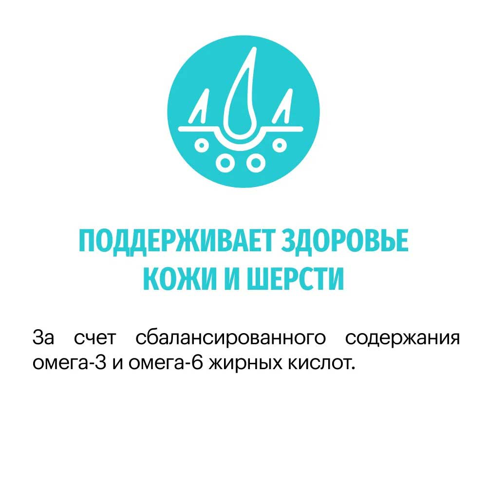 Сухой Корм Karmy (Карми) Hypoallergenic Medium/Maxi Для Собак Крупных и Средних Пород Karmy Гипоаллергенный Ягненок 14кг