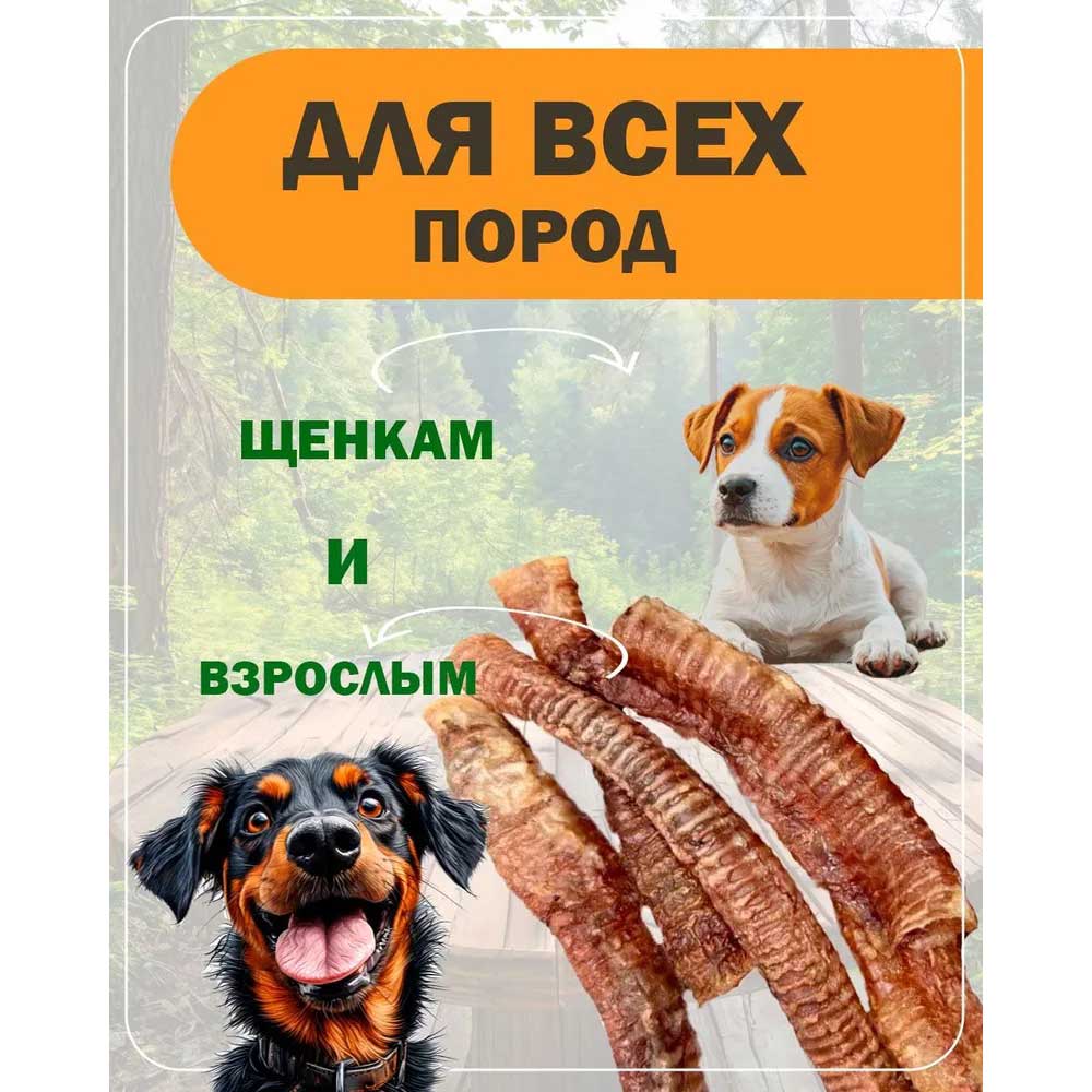 Лакомство Для Собак Brava (Брава) Трахея Говяжья Резанная 5шт 3,5см