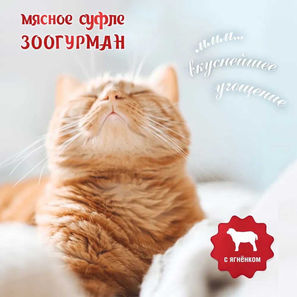 Влажный Корм  Зоогурман Для Кошек Мясное Суфле Ягненок 100г