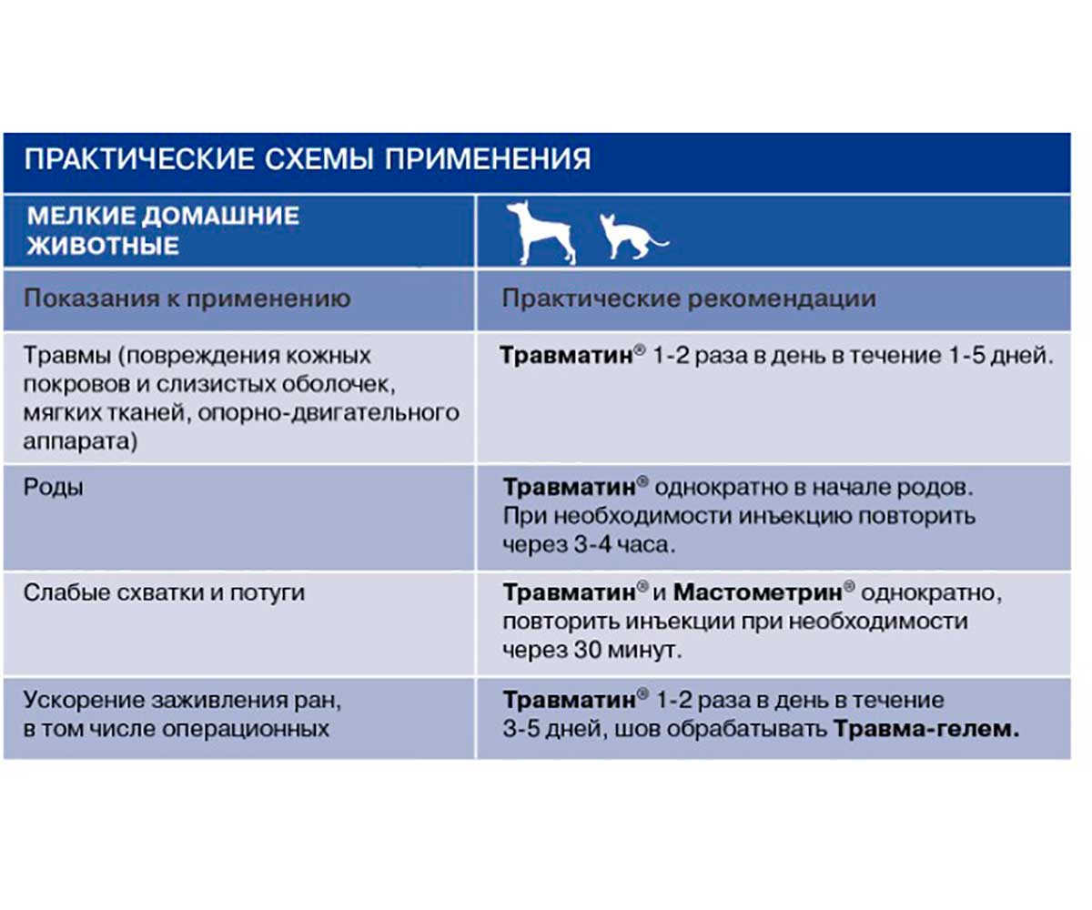 Травматин Гомеопатический Препарат Для Лечения Травм и Воспалительных Заболеваний 100 мл Раствор Для Инъекций Хелвет