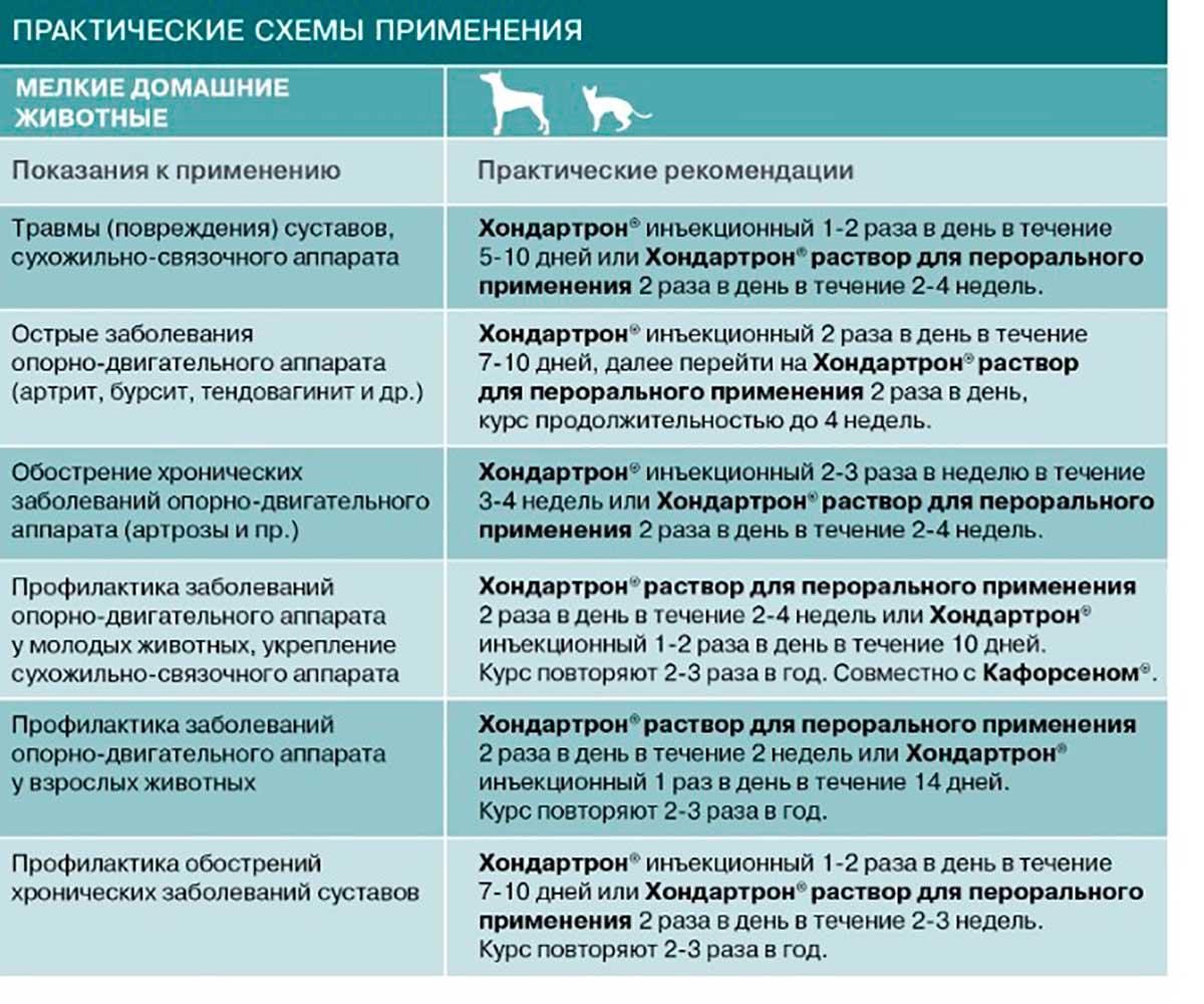 Хондартрон Лечение Заболеваний Опорно-Двигательного Аппарата у Животных Раствор Для Инъекций 100мл  Хелвет
