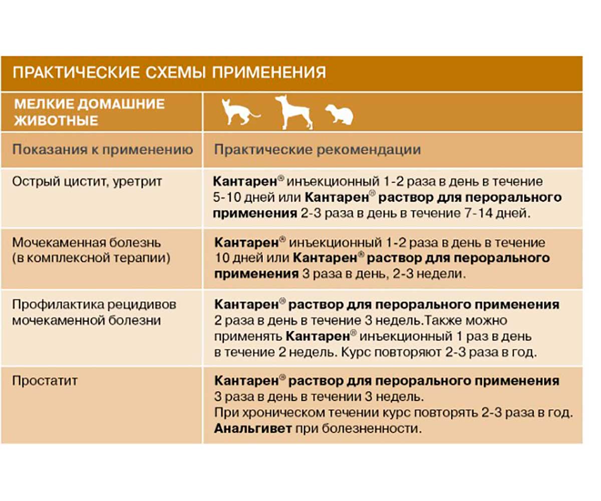 Кантарен Гомеопатический Препарат Для Профилактики и Лечения Заболеваний Почек и Мочевыводящих Путей Раствор Для Инъекций 100 мл Хелвет