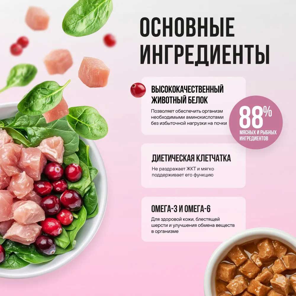 Влажный Корм Bowl Wow (Боул Вау) Для Кошек Для Кожи и Шерсти Индейка и Шпинат в Соусе 85г