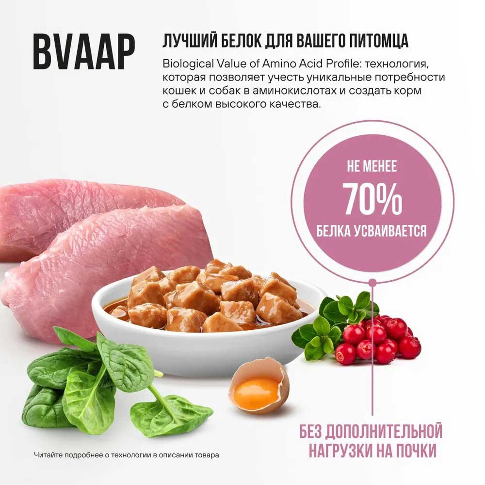 Влажный Корм Bowl Wow (Боул Вау) Для Кошек Для Кожи и Шерсти Индейка и Шпинат в Соусе 85г