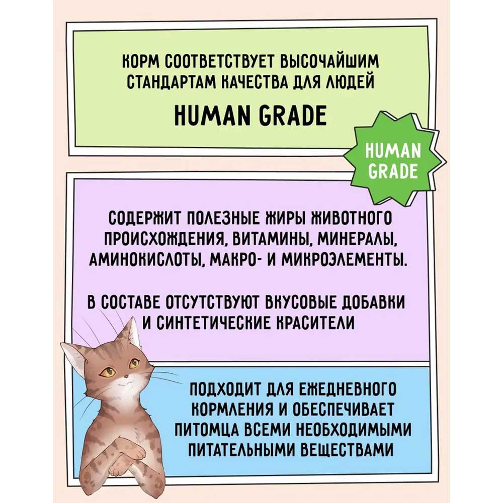 Консервы Для Кошек Zillii (Зиллии) Cat Лосось 100г 5657080