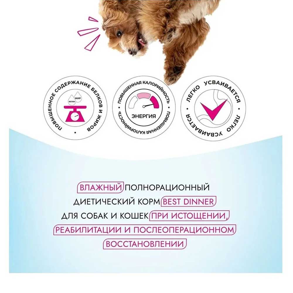Консервы Для Собак и Кошек Best Dinner (Бест Диннер) Vet Profi Recovery Восстановление 100г