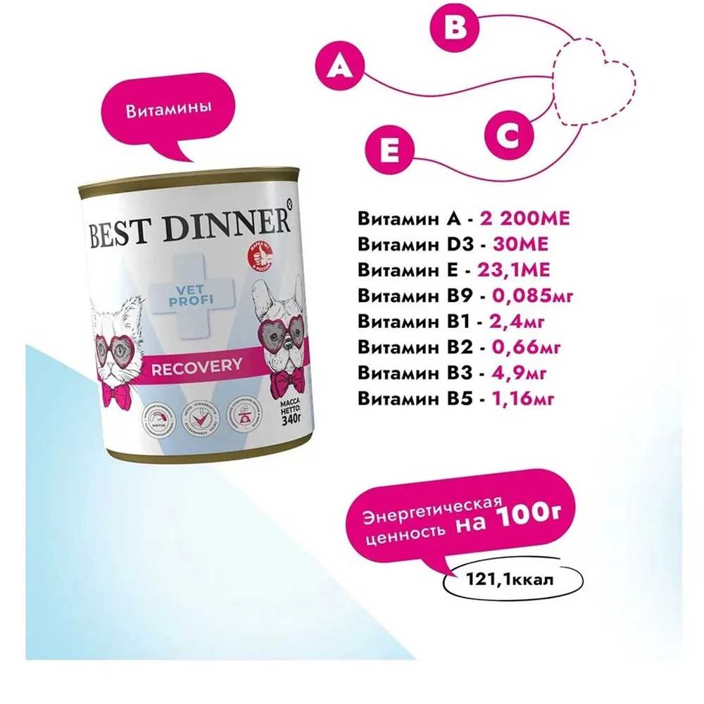 Консервы Для Собак и Кошек Best Dinner (Бест Диннер) Vet Profi Recovery Восстановление 100г