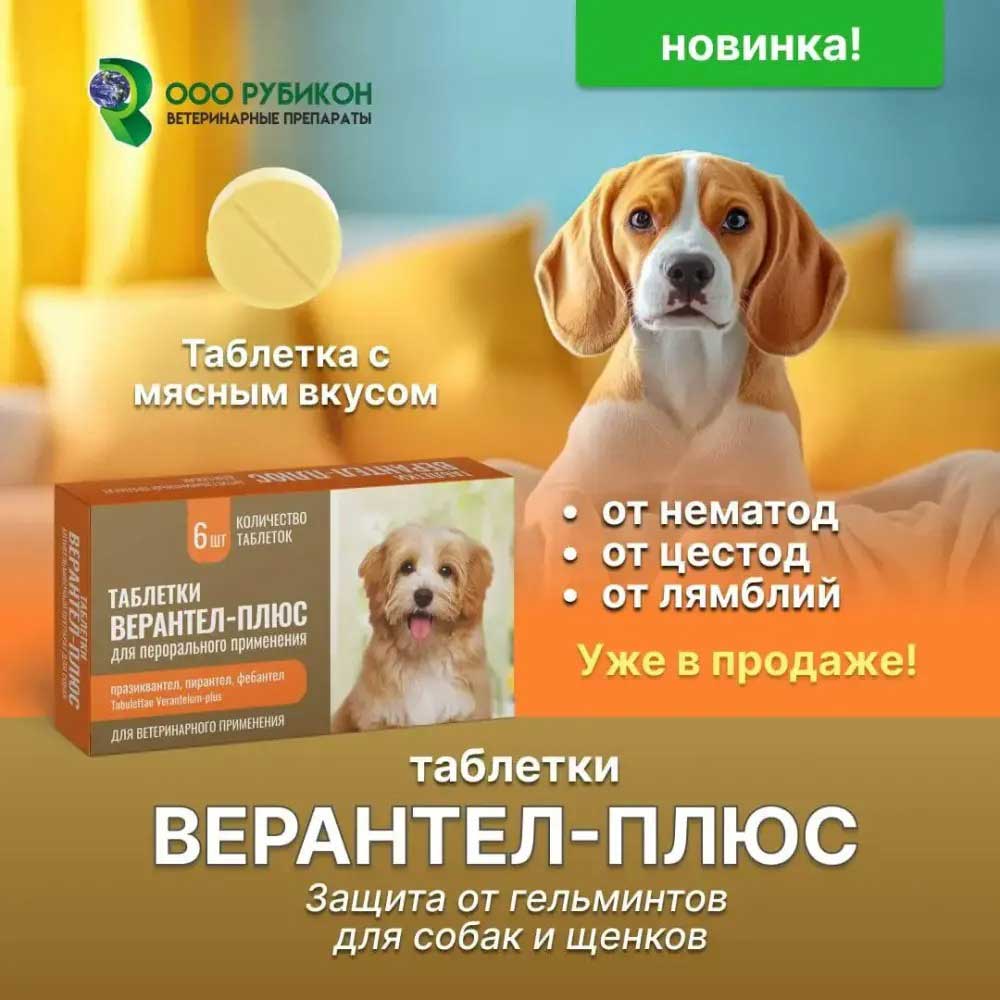 Верантел Плюс Защита От Гельминтов Для Собак и Щенков Со Вкусом Мяса 6 Таблеток