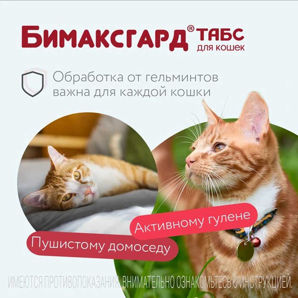 Бимаксгард Антигельминтный Препарат Для Котят и Маленьких Кошек 2 Таблетки