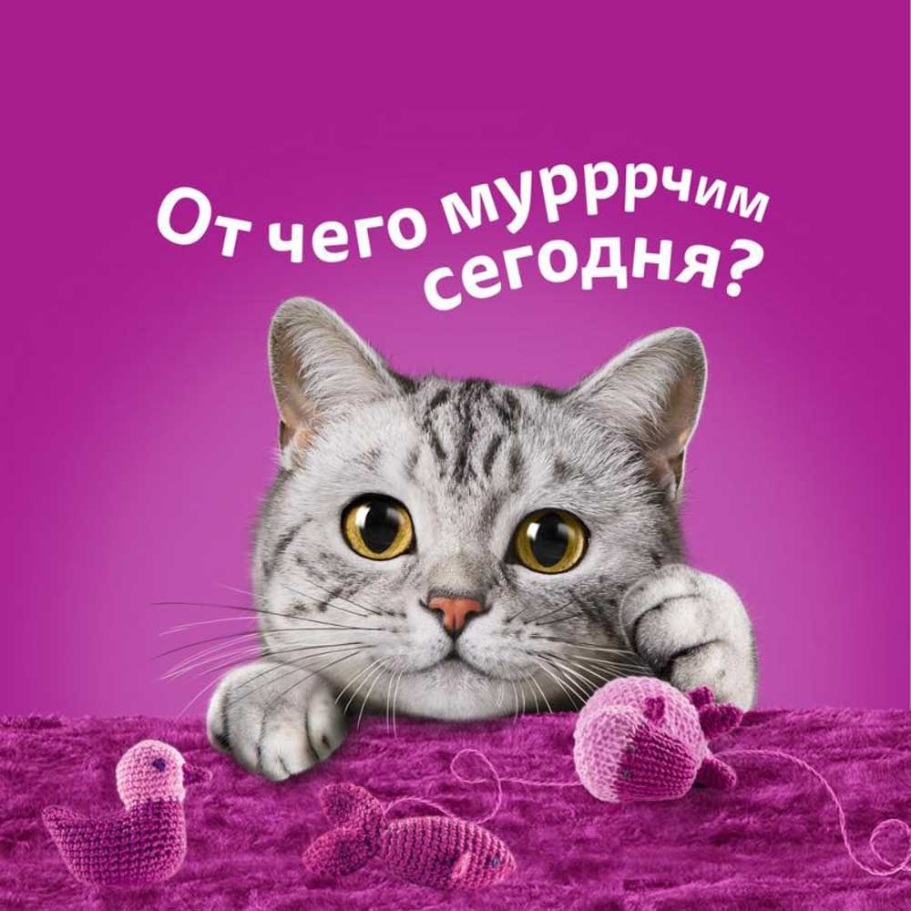 Влажный Корм  Whiskas (Вискас) Для Кошек Рагу Индейка 75г