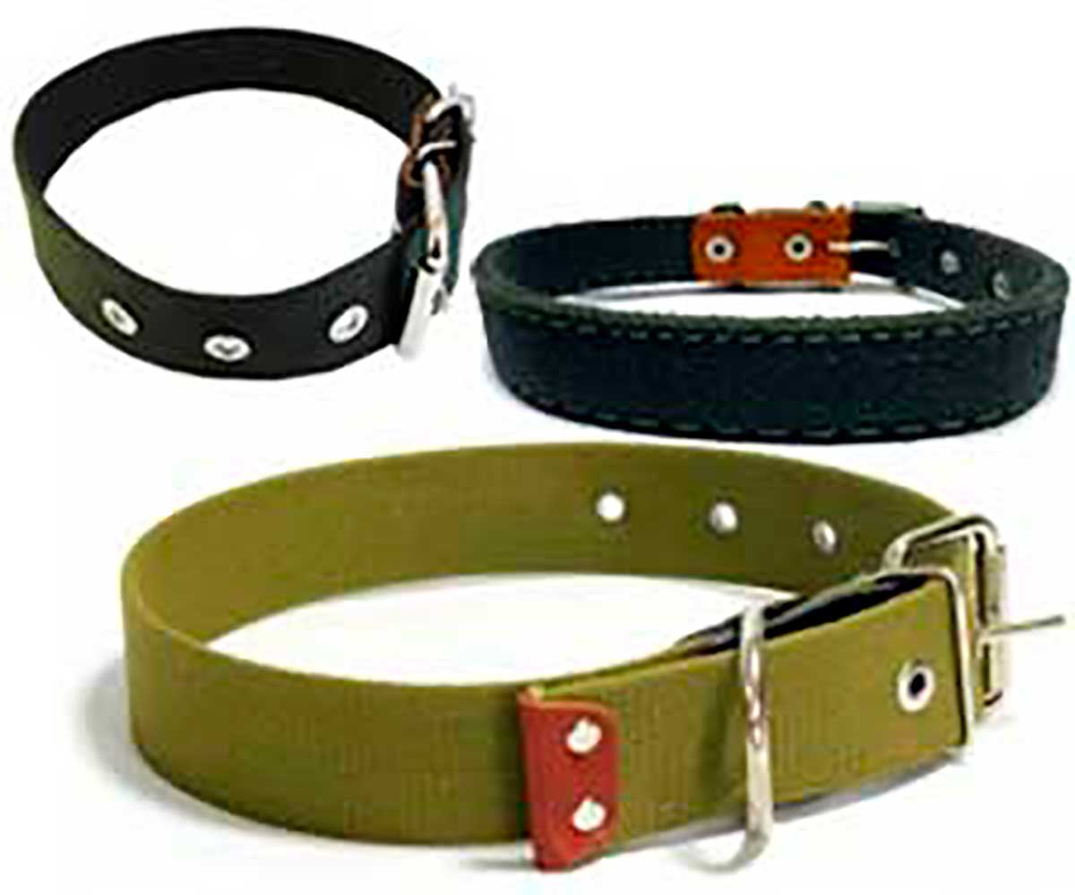 https://www.zooregion.ru/storage/assets/App/Models/Product/9113/15720.jpg