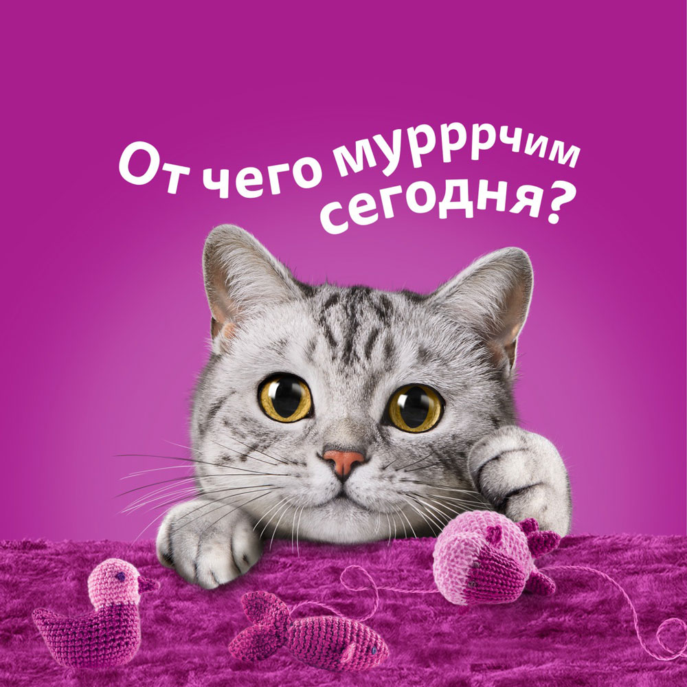 Влажный Корм Whiskas (Вискас) Для Кошек Рагу Телятина, Ягненок и Овощи 75г