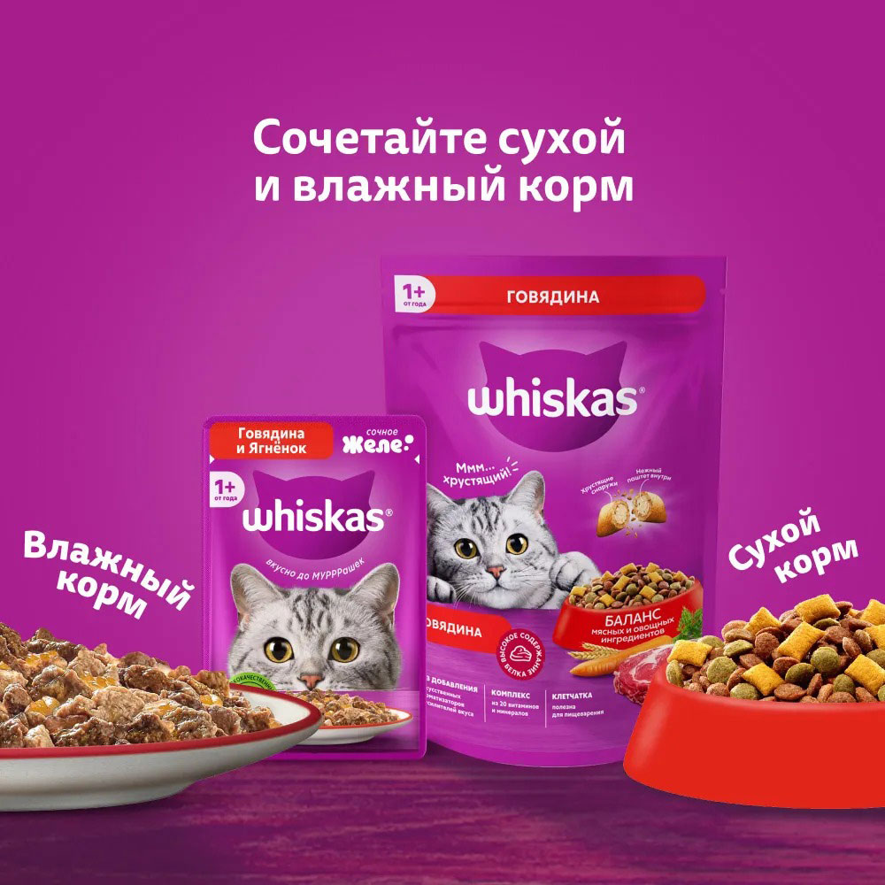 Влажный Корм Для Кошек Whiskas (Вискас) Форель и Лосось в Желе 75г