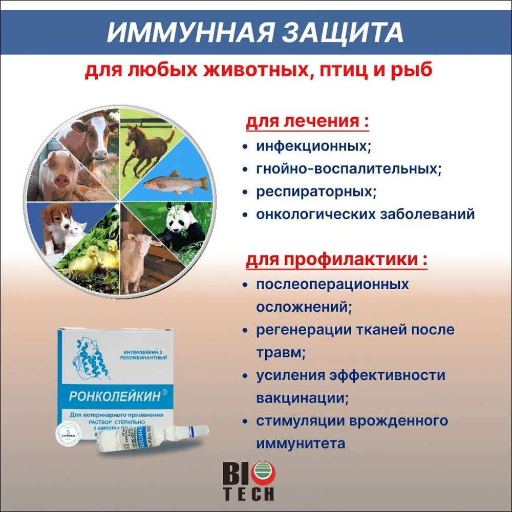 Ронколейкин 500 000ме Иммунокорреткор 3 Ампулы Упаковка 9165