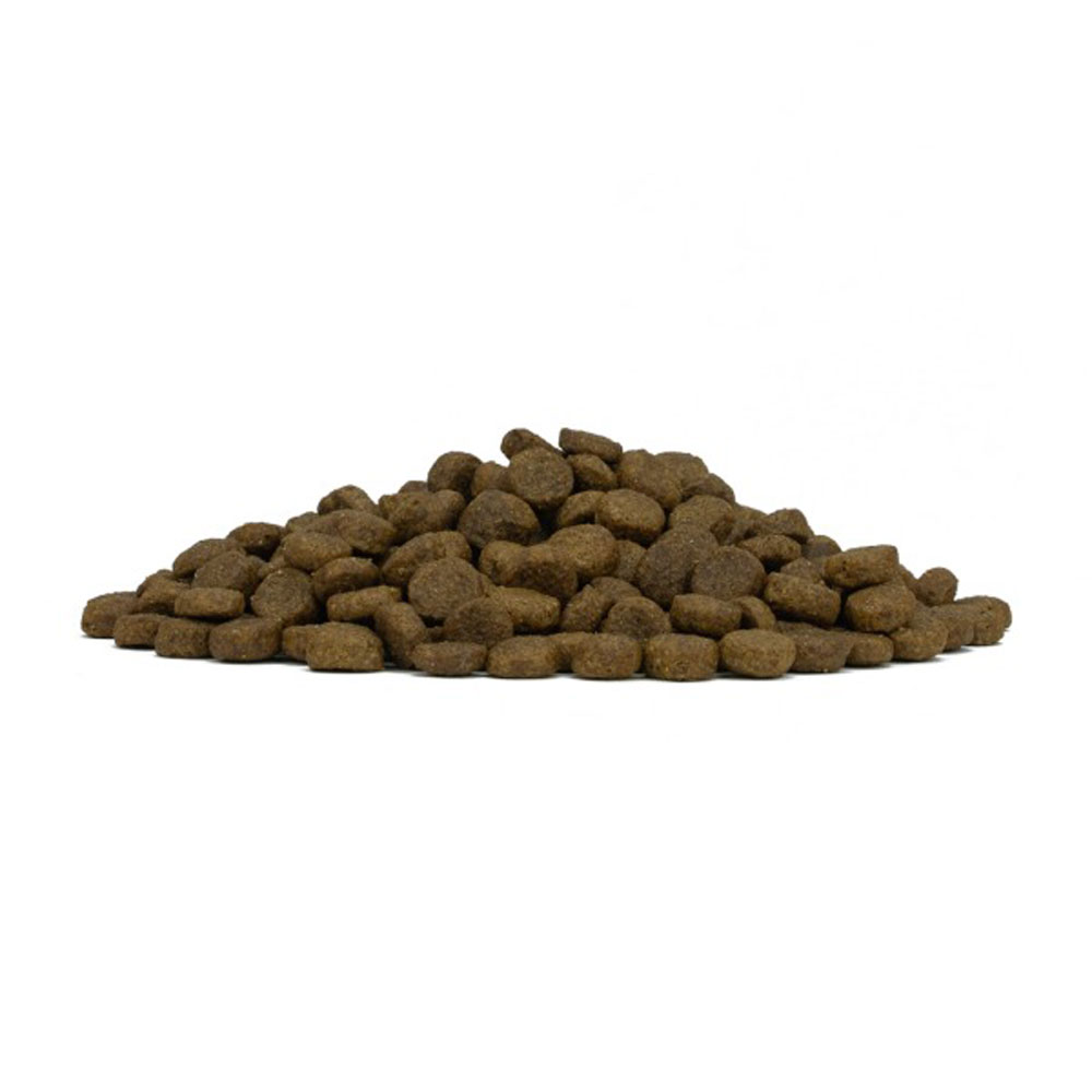 Сухой Корм Forza (Форза) 10 Dog Mini Monodiet Low Grain Для Собак Мелких Пород При Аллергии Рыба 400г 11700