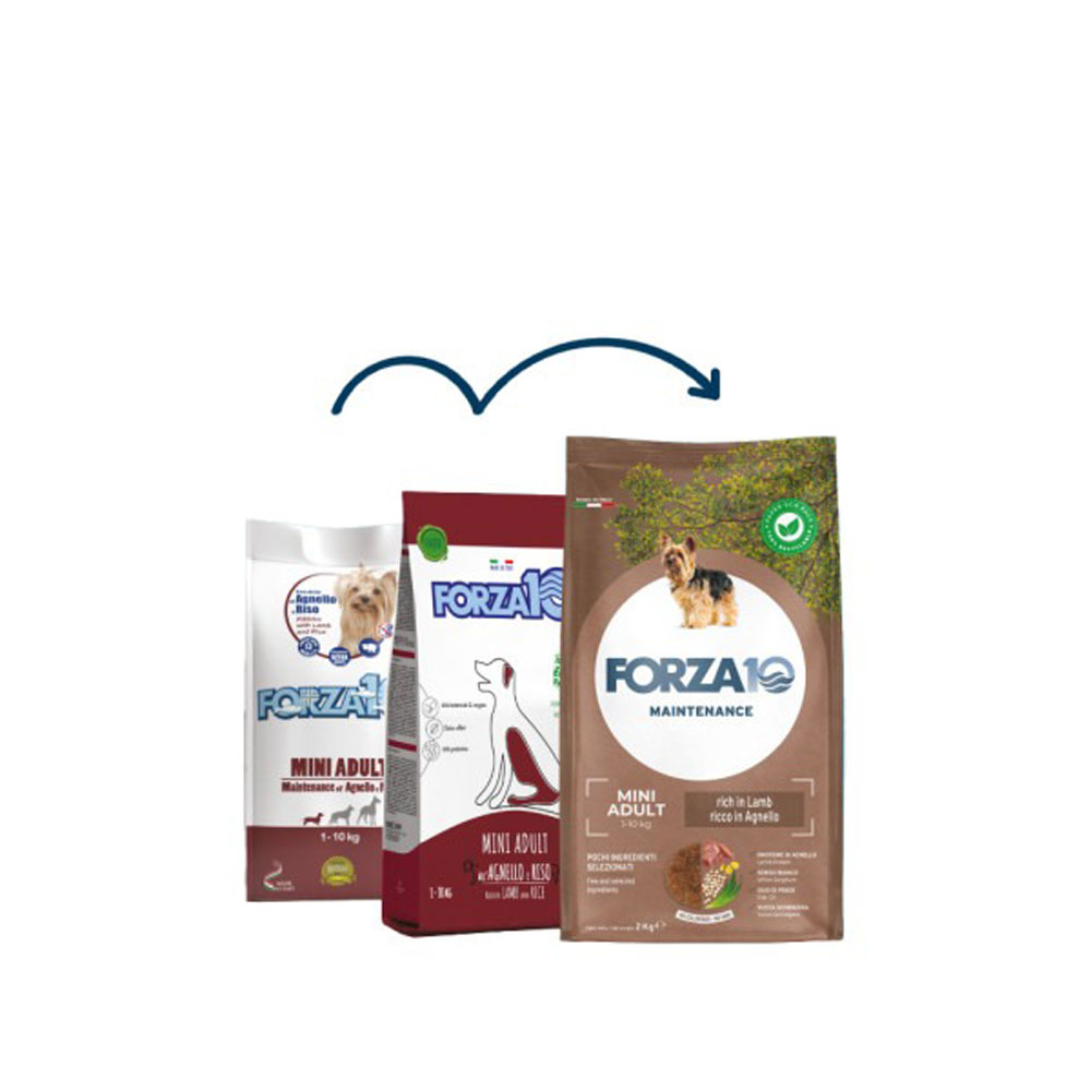 Сухой Корм Forza (Форза) 10 Dog Maintenance Aduit Mini Для Собак Мелких Пород Ягненок и Рис 2кг 11588