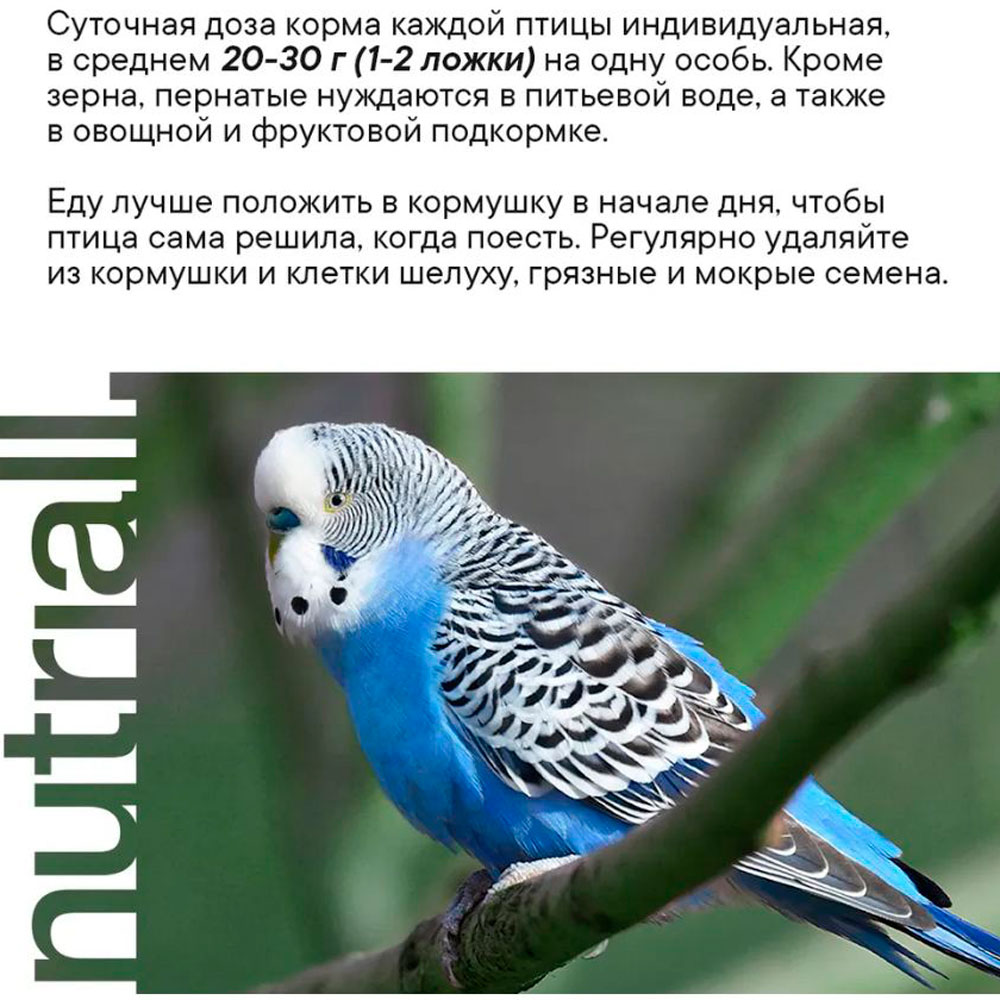 Корм для Птиц Nutriall (Нутриал) Для Волнистых Попугаев Фрукты 400г