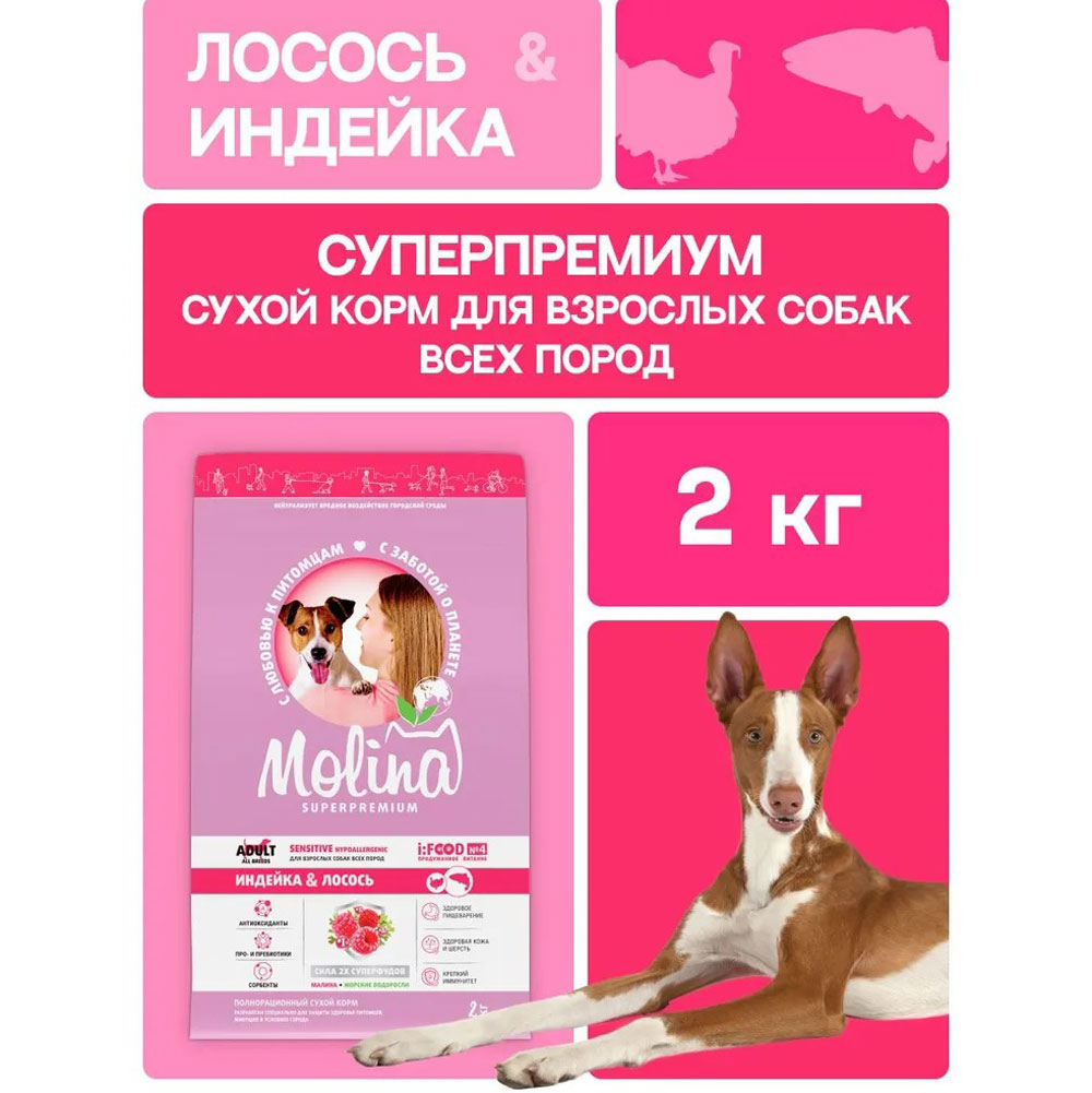 Сухой Корм Molina (Молина) Adult для Собак  с Чувствительным Пищеварением Индейка и Лосось 2кг 1061380