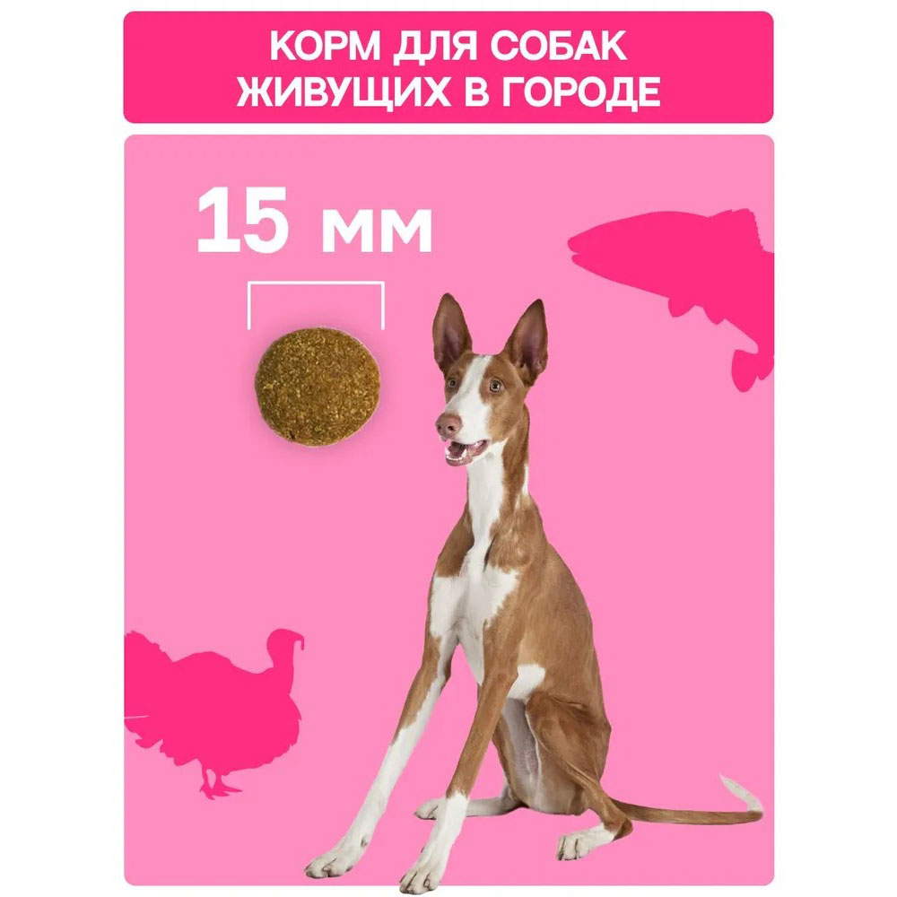 Сухой Корм Molina (Молина) Adult для Собак  с Чувствительным Пищеварением Индейка и Лосось 2кг 1061380