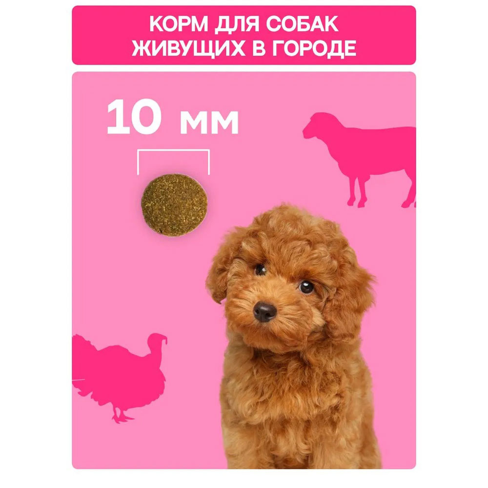 Сухой Корм Molina (Молина) Adult Mini Sensitive Для Собак Мелких Пород с чувствительным Пищеварением  Ягненок и Индейка 800г 1060864